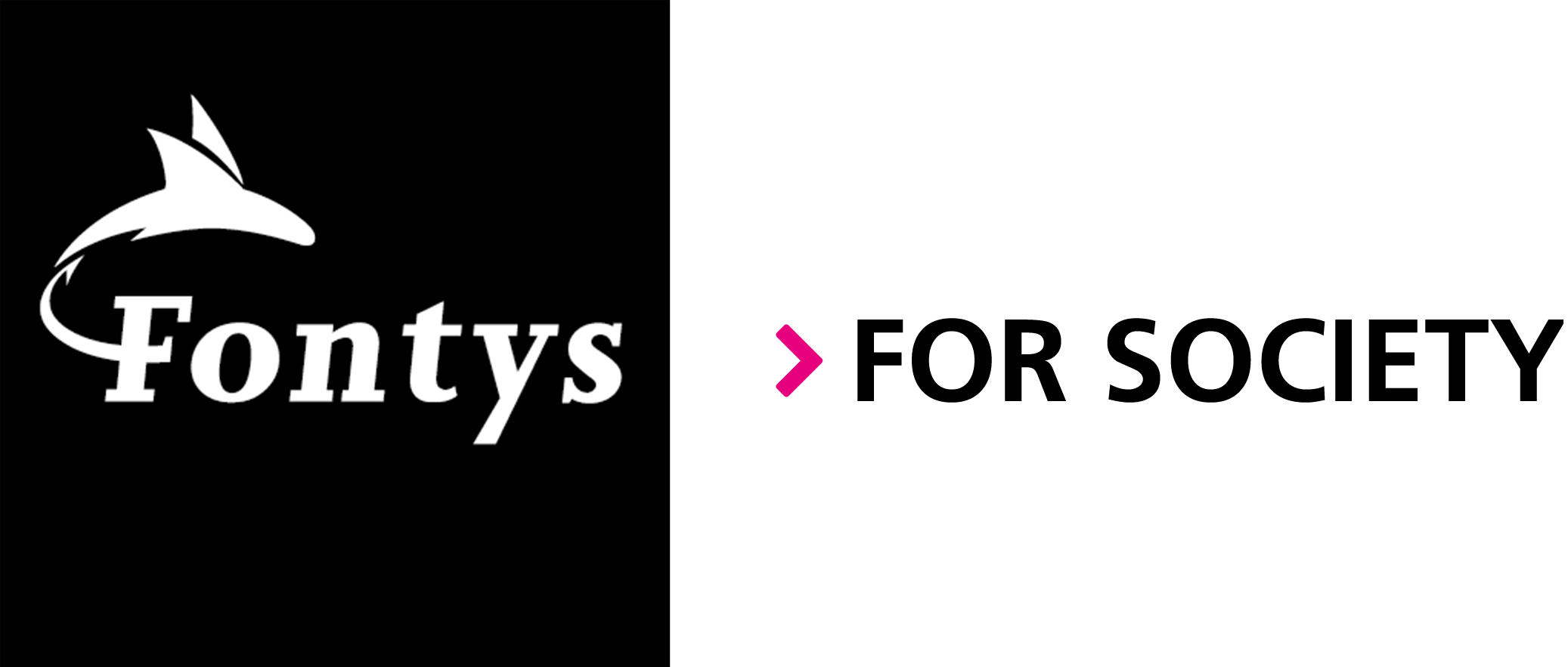 Fontys Logo